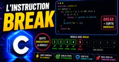 programmation-en-c-linstruction-break-2