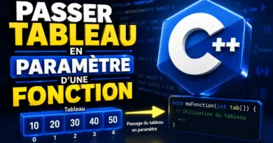 programmation-en-c-passer-un-tableau-en-parametre-dune-fonction