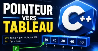 programmation-en-c-pointeur-vers-un-tableau