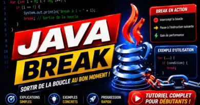 programmation-en-java-linstruction-break