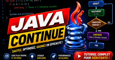 programmation-en-java-linstruction-continue