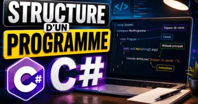 programmation-en-c-la-structure-du-programme
