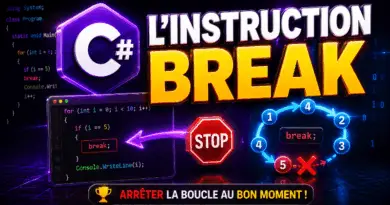 programmation-en-c-linstruction-break