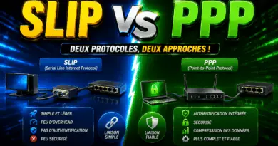 difference-entre-slip-et-ppp