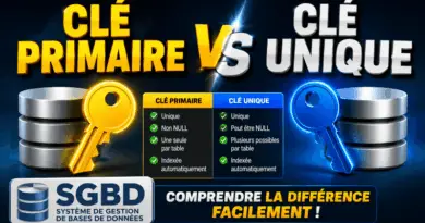 difference-entre-cle-primaire-et-cle-unique