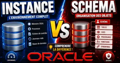 difference-entre-instance-et-schema