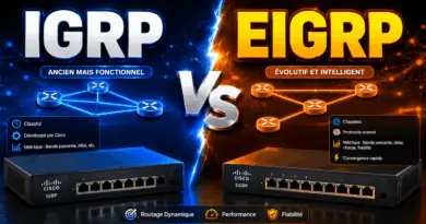 difference-entre-igrp-et-eigrp