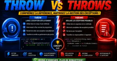 difference-entre-throw-et-throws