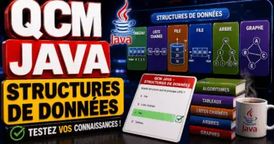 qcm-java-structures-de-donnees-tableaux-arrays