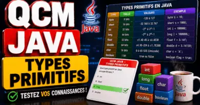 qcm-java-types-de-donnee-primitifs