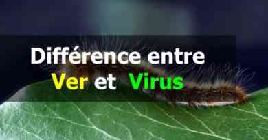 Différence entre un Ver et un Virus