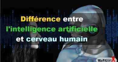 Différence entre l'intelligence artificielle et cerveau humain