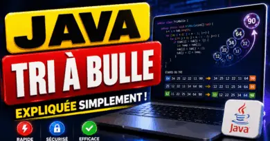 tri-a-bulle-en-java