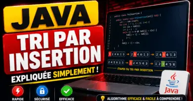 tri-par-insertion-en-java