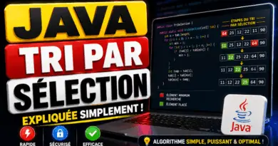 tri-par-selection-en-java