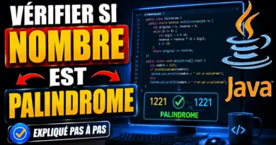 verifier-si-un-nombre-est-un-palindrome-en-java