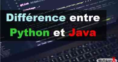 Différence entre Python et Java