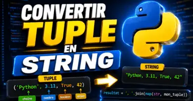 convertir-un-tuple-en-string-python