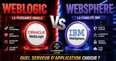 difference-entre-weblogic-et-websphere