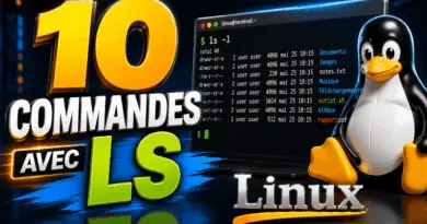10-commandes-avec-ls-pour-lister-les-fichiers-et-repertoires