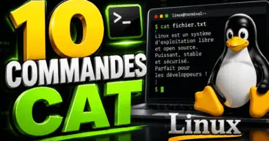 10-exemples-pratiques-avec-la-commande-cat-sous-linux