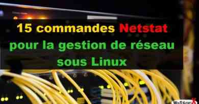 15 commandes Netstat pour la gestion de réseau sous Linux