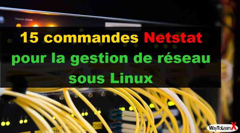 15 commandes Netstat pour la gestion de réseau sous Linux