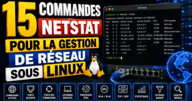 15-commandes-netstat-pour-la-gestion-de-reseau-sous-linux