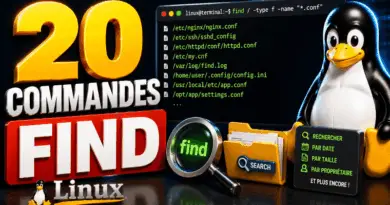 20-exemples-pratiques-avec-la-commande-find-sous-linux