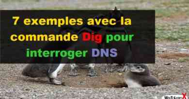 7 exemples avec la commande Dig pour interroger DNS