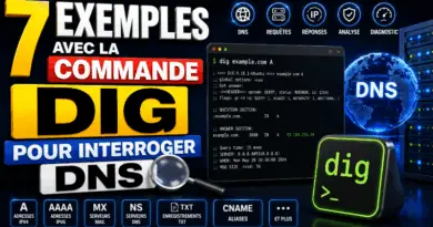 7-exemples-avec-la-commande-dig-pour-interroger-dns