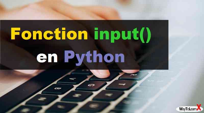 Fonction input() en Python