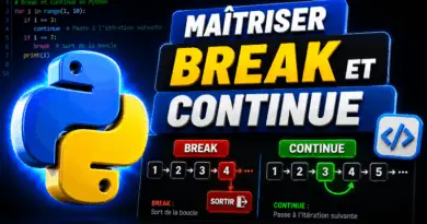 break-et-continue-en-python