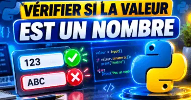 comment-verifier-que-la-valeur-entree-est-un-nombre-en-python