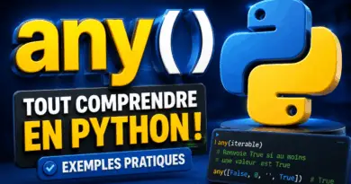 fonction-any-python