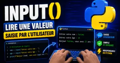 fonction-input-python