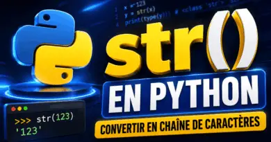 fonction-str-python