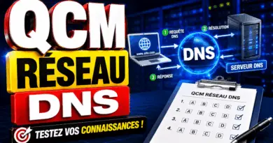 qcm-reseau-dns