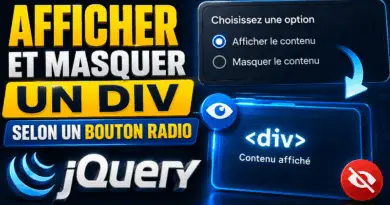 afficher-et-masquer-un-bloc-div-en-fonction-de-bouton-radio-jquery