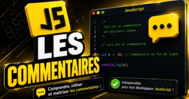 commentaires-en-javascript