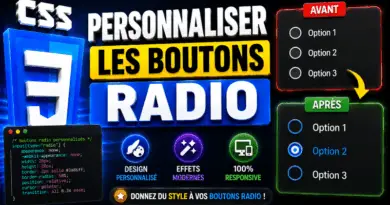 personnaliser-les-boutons-radio-avec-css