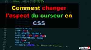 Comment créer une ligne verticale en HTML  WayToLearnX