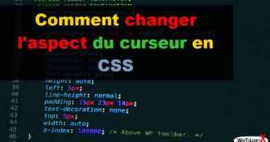 Comment changer l'aspect du curseur en CSS
