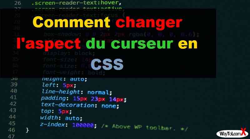 Comment changer l'aspect du curseur en CSS
