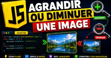 comment-agrandir-ou-diminuer-une-image-en-javascript