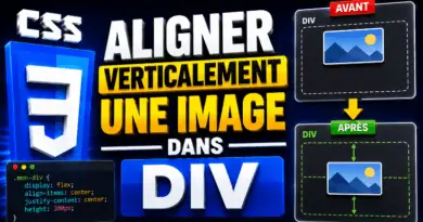 comment-aligner-verticalement-une-image-dans-une-div-en-css