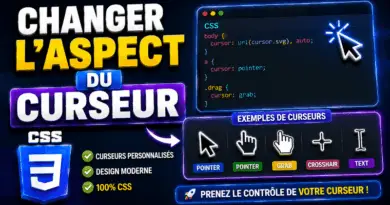 comment-changer-laspect-du-curseur-en-css