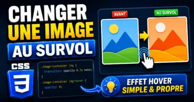 comment-changer-une-image-au-survol-avec-css