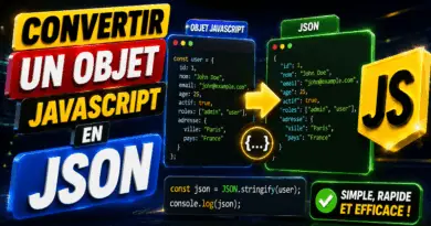 comment-convertir-un-objet-javascript-en-json