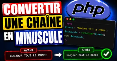 comment-convertir-une-chaine-de-caracteres-en-minuscule-en-php